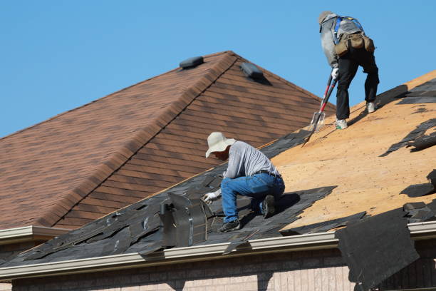 Best Gutter Installation and Repair  in Shawsville, VA